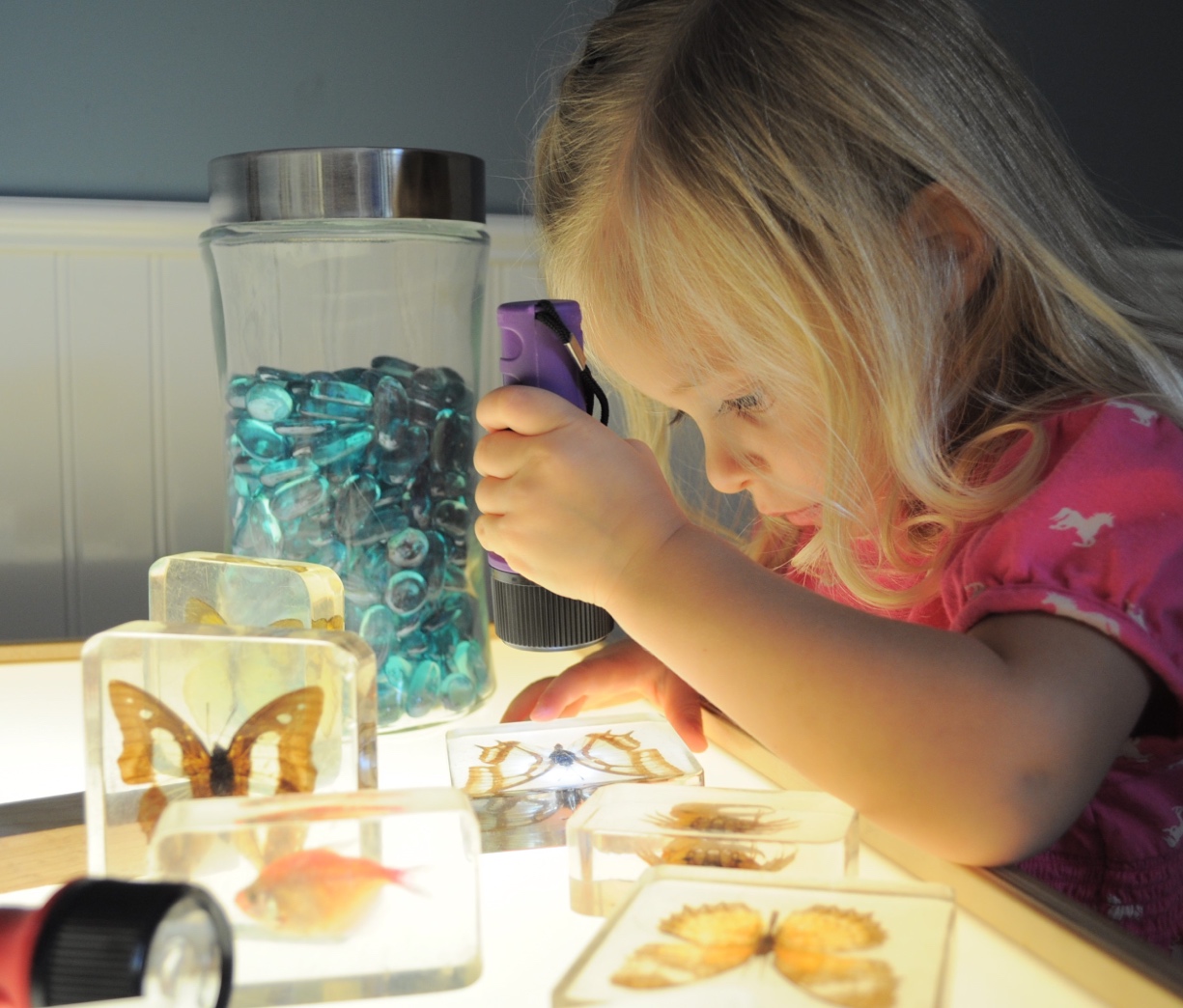 A young child looking at butterflies in a glass jar

Description automatically generated